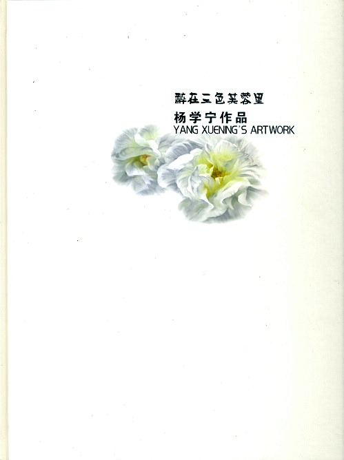 image 01