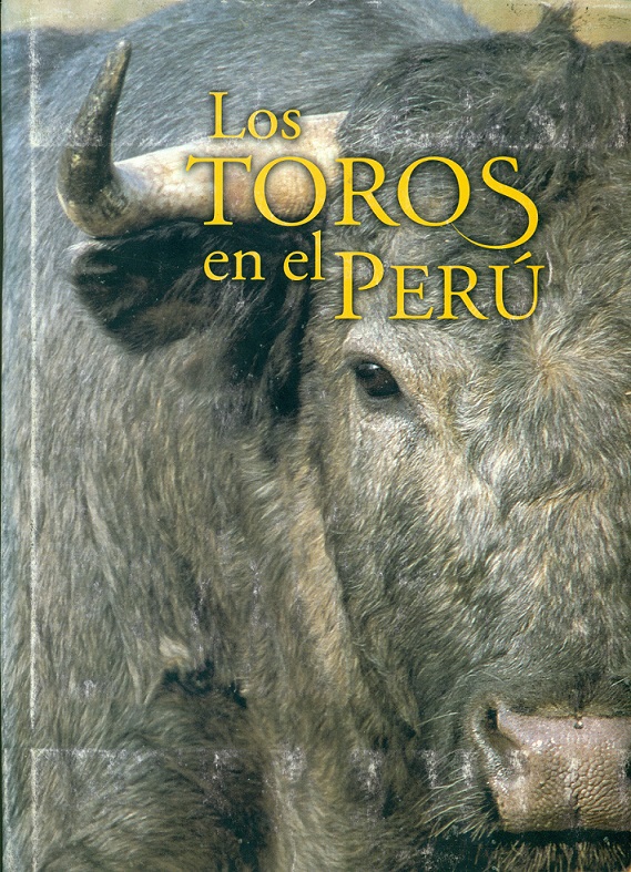 image 01
